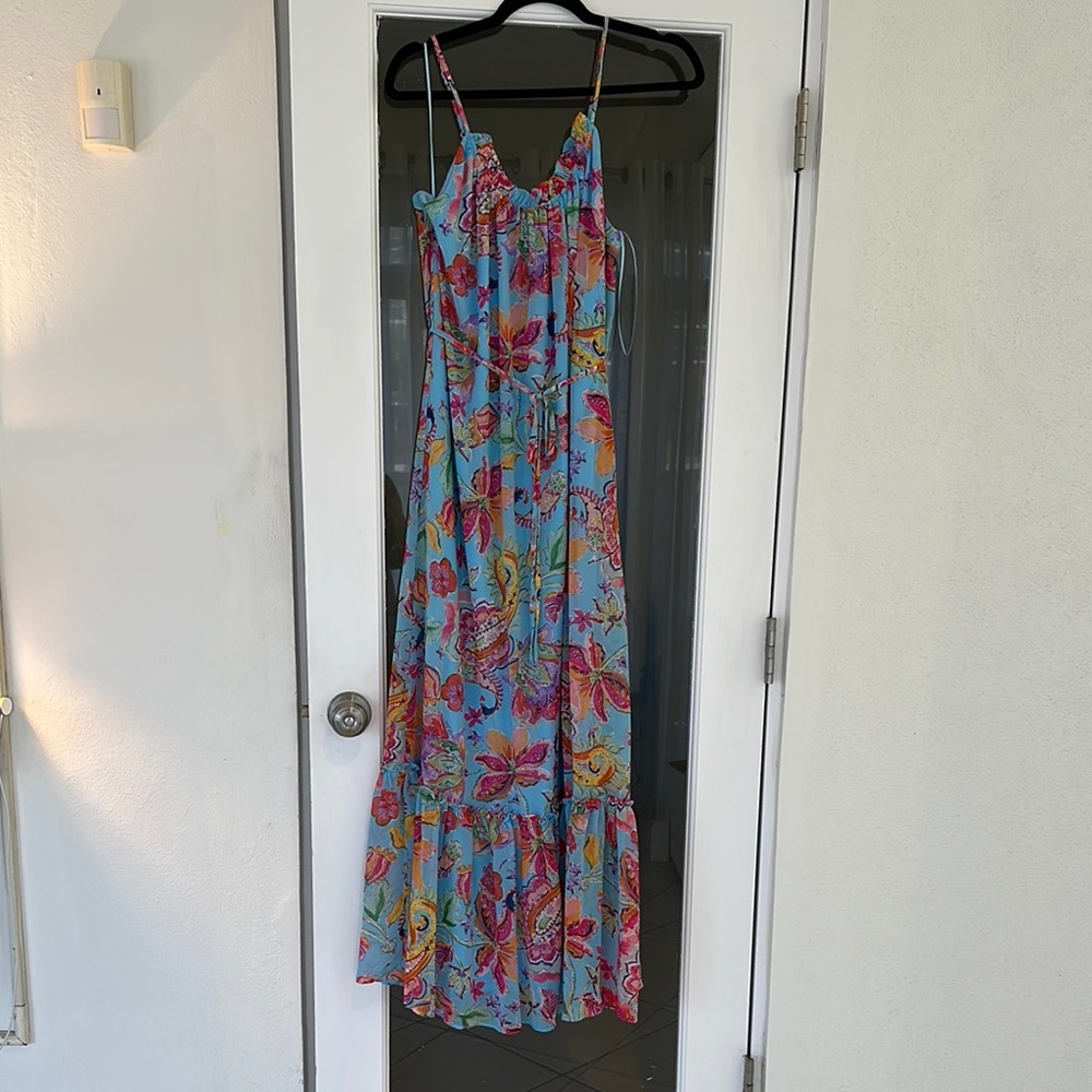 Nicole Miller Floral Maxi Dress in Blue and Pink NWOT